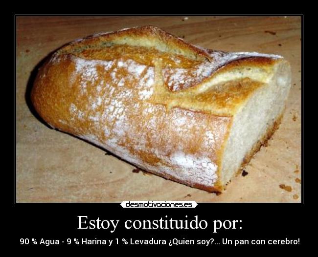 Estoy constituido por: - 90 % Agua - 9 % Harina y 1 % Levadura ¿Quien soy?... Un pan con cerebro!