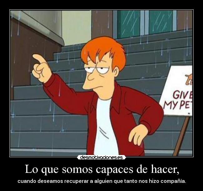 Lo que somos capaces de hacer, - cuando deseamos recuperar a alguien que tanto nos hizo compañía.