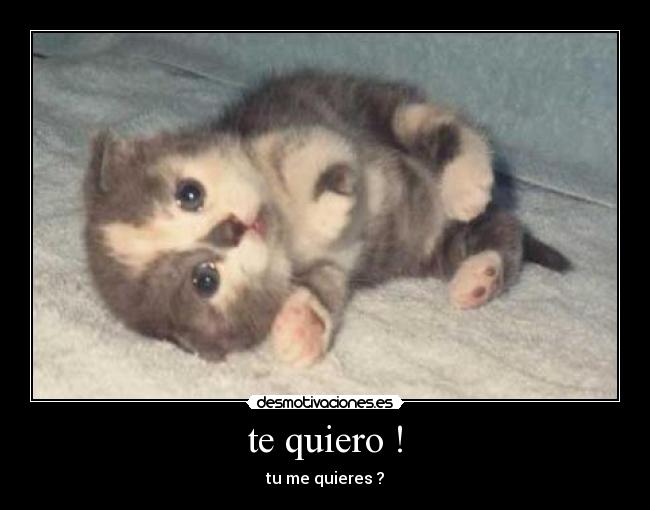 te quiero ! - tu me quieres ?