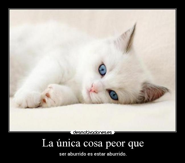 La única cosa peor que - ser aburrido es estar aburrido.