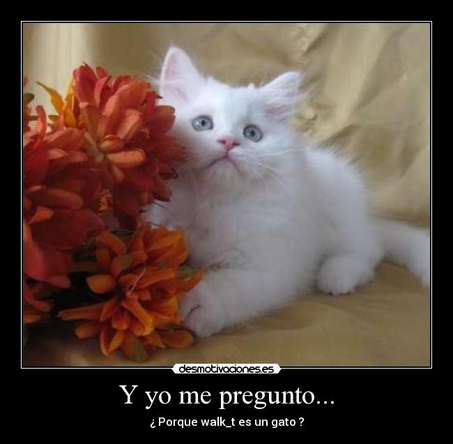 Y yo me pregunto... - ¿ Porque walk_t es un gato ?
