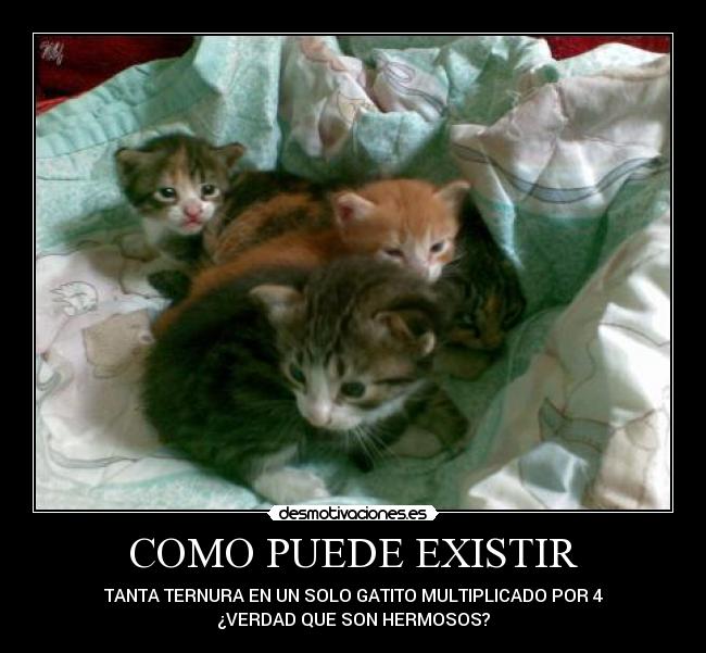 carteles nicol2903 desmotivaciones