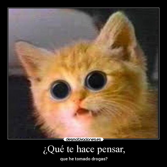 ¿Qué te hace pensar, - que he tomado drogas?