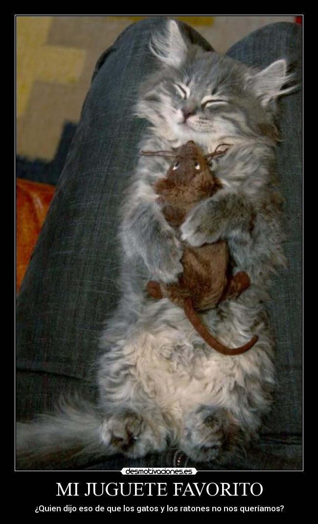 MI JUGUETE FAVORITO -