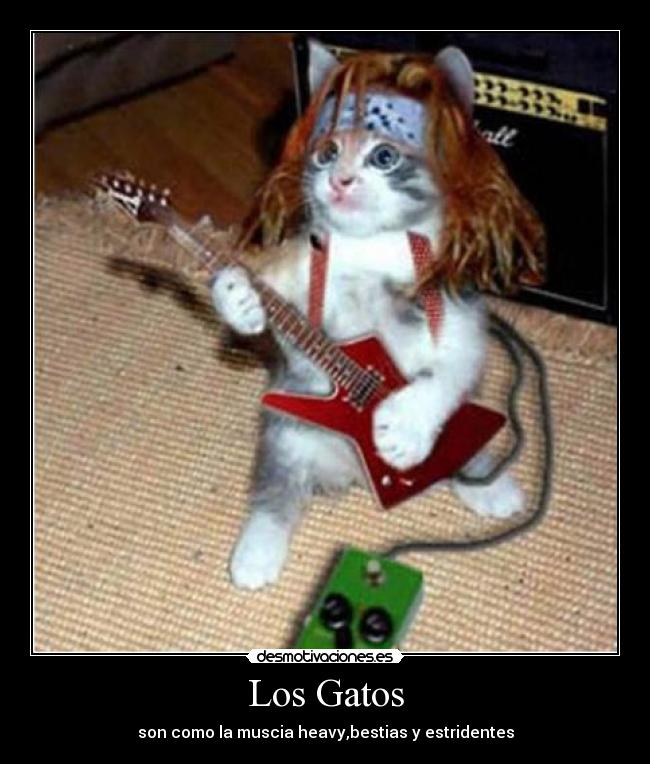 Los Gatos - son como la muscia heavy,bestias y estridentes