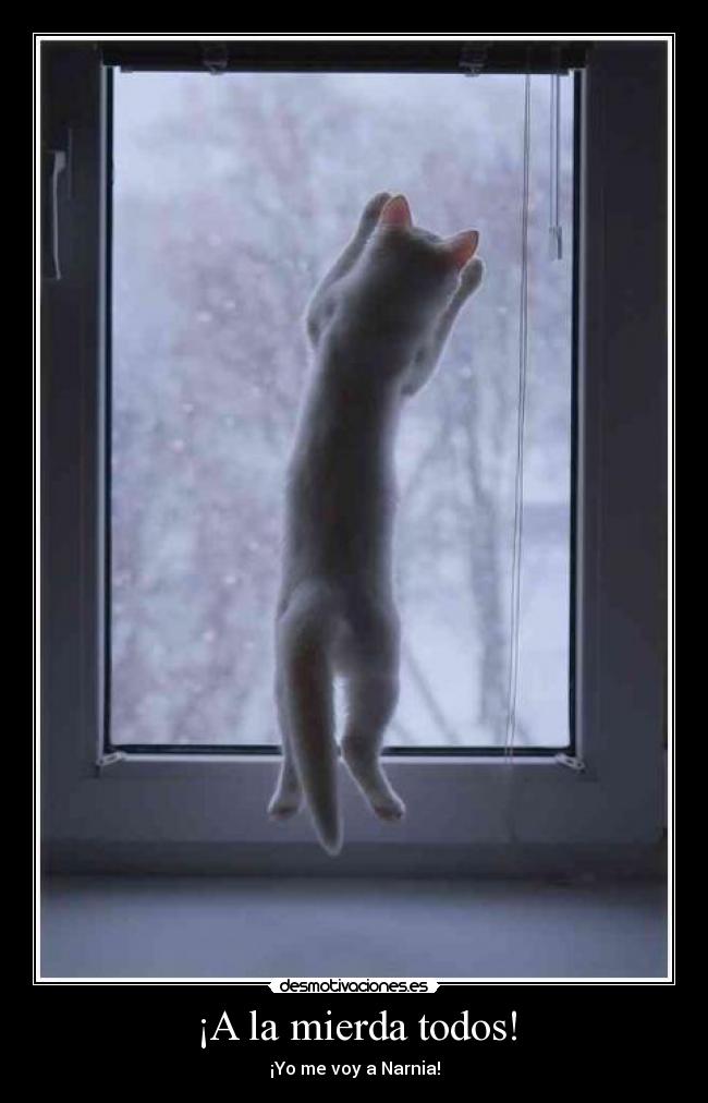 ¡A la mierda todos! - ¡Yo me voy a Narnia!