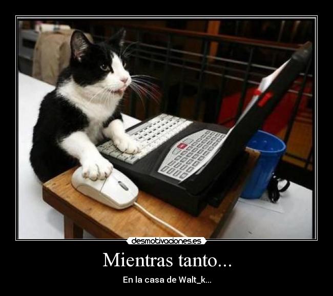 Mientras tanto... - En la casa de Walt_k...