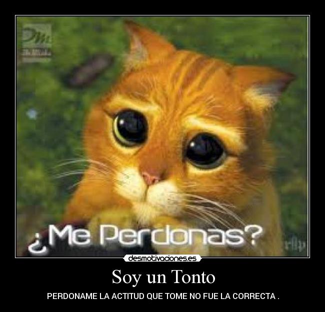 carteles tonto alisz desmotivaciones