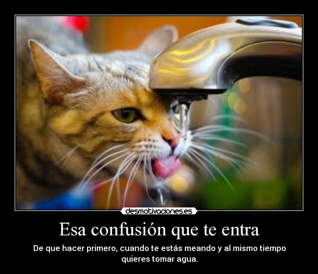 Esa confusión que te entra - De que hacer primero, cuando te estás meando y al mismo tiempo
quieres tomar agua.