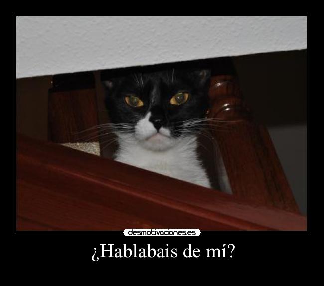 ¿Hablabais de mí? -