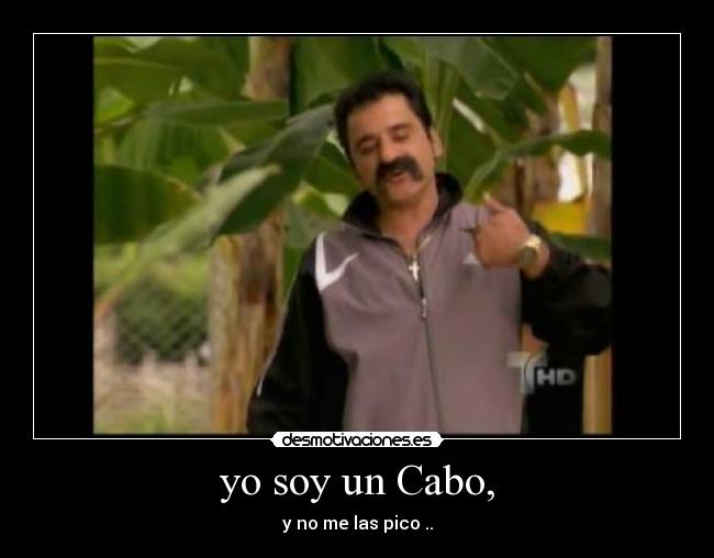 carteles arturo desmotivaciones