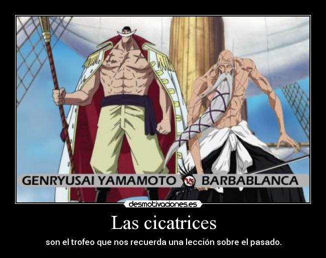 Las cicatrices - son el trofeo que nos recuerda una lección sobre el pasado.