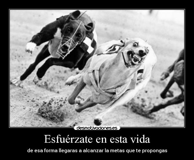 Esfuérzate en esta vida -