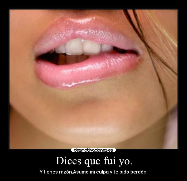 Dices que fui yo. - Y tienes razón.Asumo mi culpa y te pido perdón.