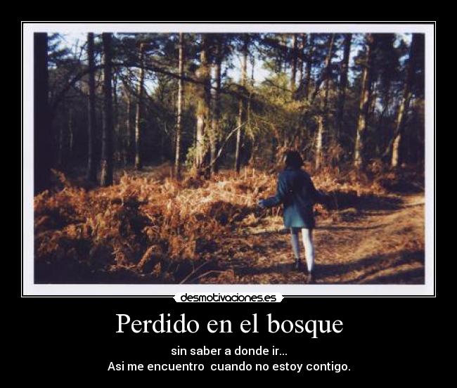 Perdido en el bosque - sin saber a donde ir...
Asi me encuentro cuando no estoy contigo.