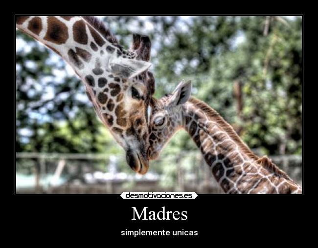 Madres -