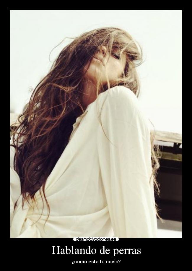 Hablando de perras -