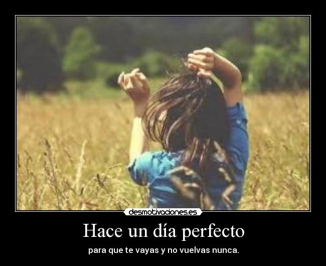 Hace un día perfecto - 