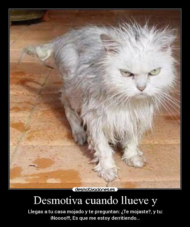 Desmotiva cuando llueve y -