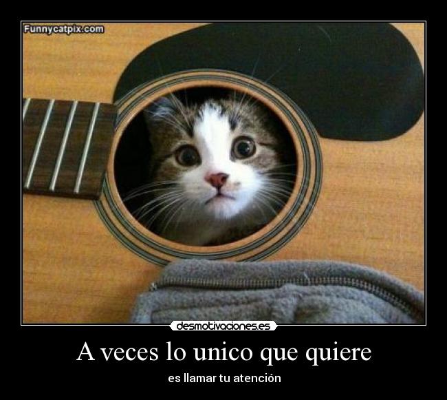 A veces lo unico que quiere -