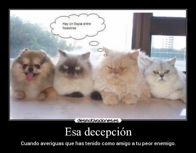 Esa decepción - Cuando averiguas que has tenido como amigo a tu peor enemigo.