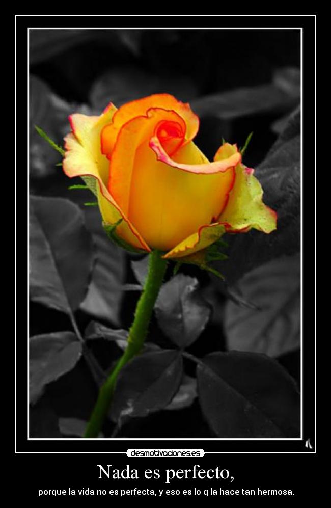 Nada es perfecto, -