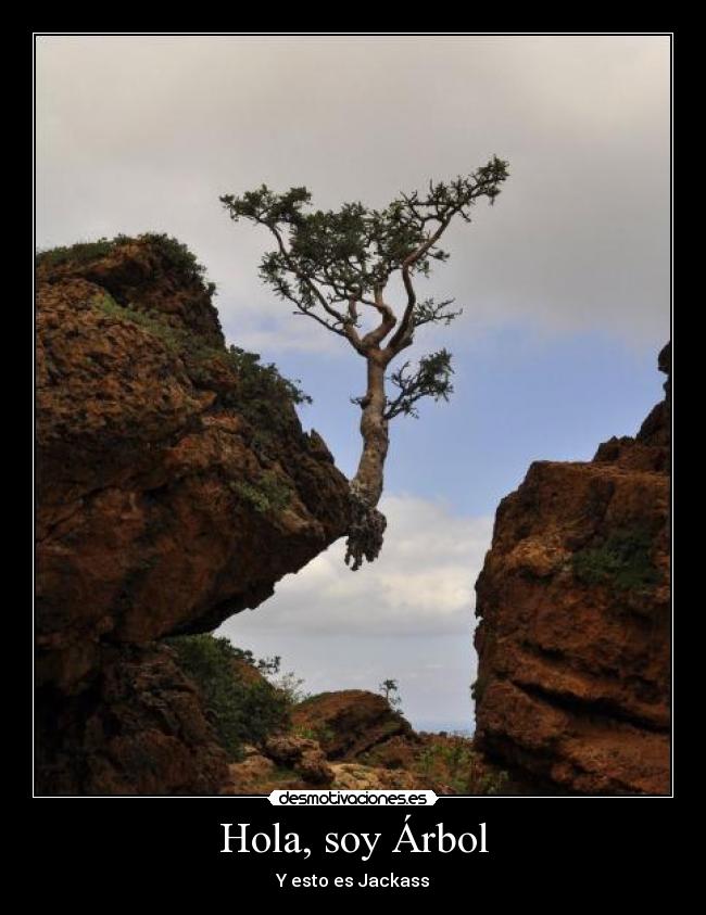 carteles las ardillas molan desmotivaciones