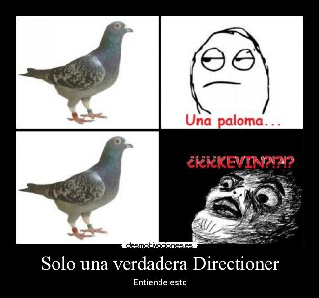 Solo una verdadera Directioner -