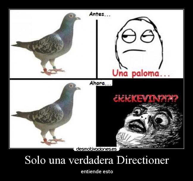 Solo una verdadera Directioner - 