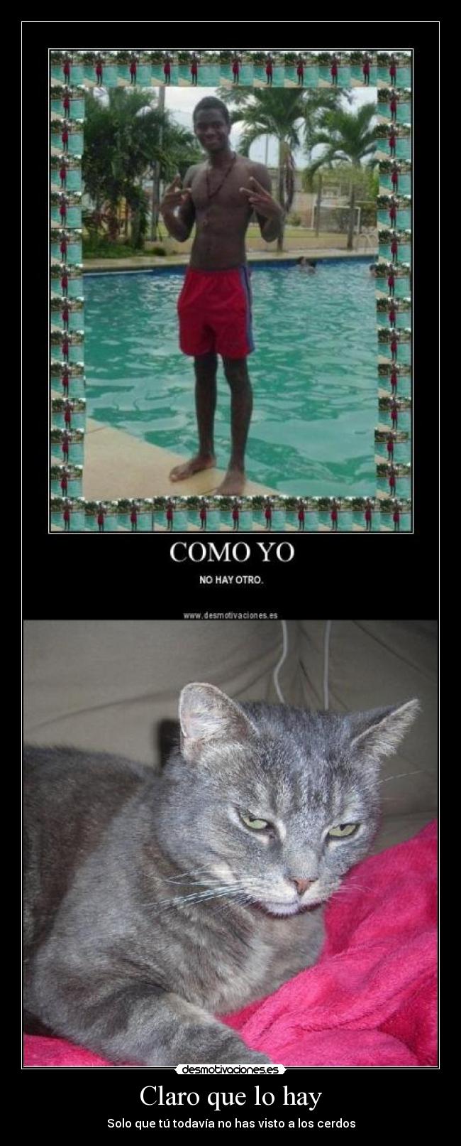 Claro que lo hay - Solo que tú todavía no has visto a los cerdos