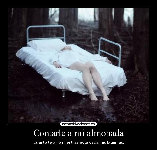 carteles desmorrollobollo puk lesbian lovee sad desmotivaciones