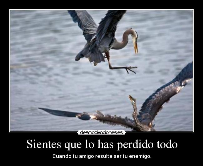 carteles youdeadht desmotivaciones