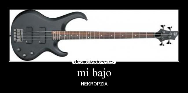 mi bajo - NEKROPZIA