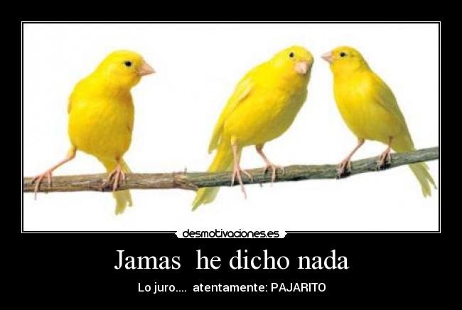 Jamas  he dicho nada - Lo juro....  atentamente: PAJARITO