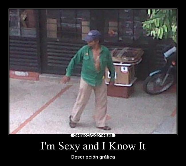 Im Sexy and I Know It - Descripción gráfica