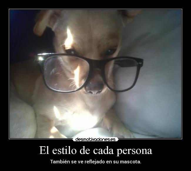 El estilo de cada persona - También se ve reflejado en su mascota.