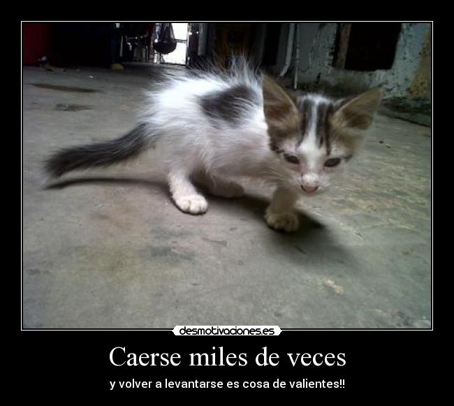 Caerse miles de veces - y volver a levantarse es cosa de valientes!!