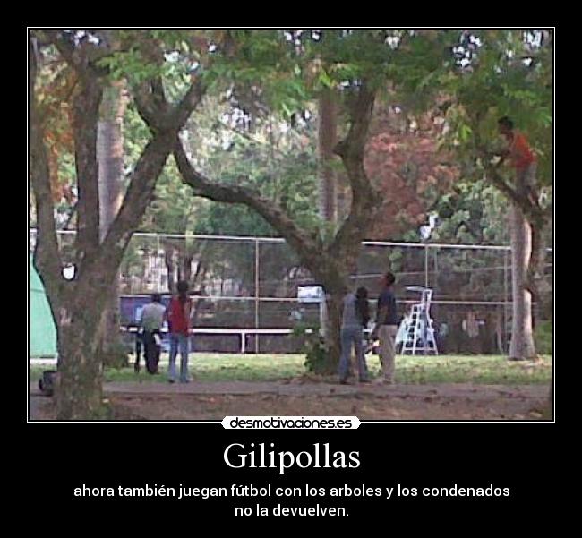 Gilipollas - ahora también juegan fútbol con los arboles y los condenados
no la devuelven.