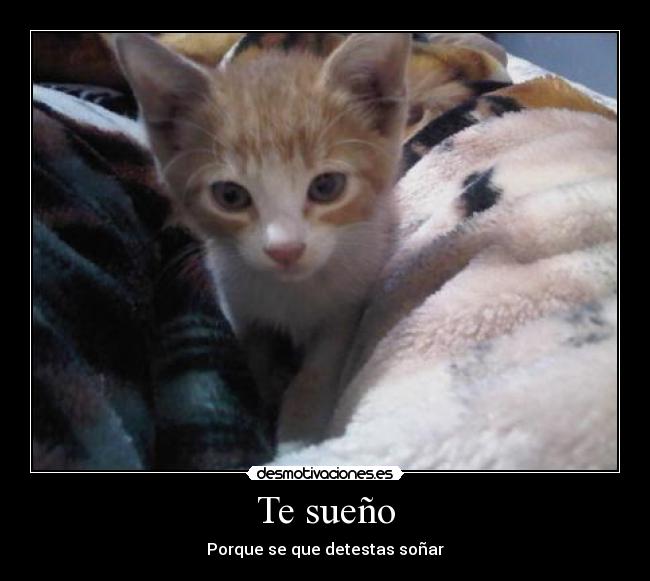 Te sueño - Porque se que detestas soñar