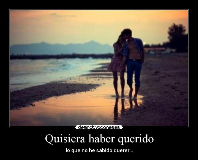 Quisiera haber querido -