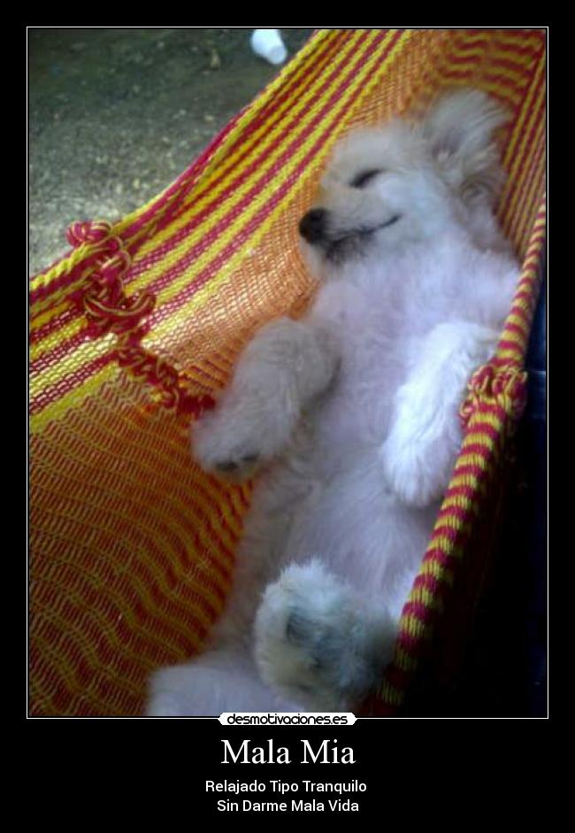 Mala Mia - Relajado Tipo Tranquilo
Sin Darme Mala Vida