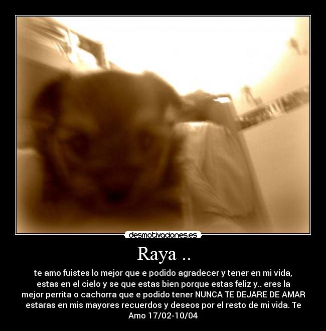 Raya .. - te amo fuistes lo mejor que e podido agradecer y tener en mi vida,
estas en el cielo y se que estas bien porque estas feliz y.. eres la
mejor perrita o cachorra que e podido tener NUNCA TE DEJARE DE AMAR
estaras en mis mayores recuerdos y deseos por el resto de mi vida. Te
Amo 17/02-10/04