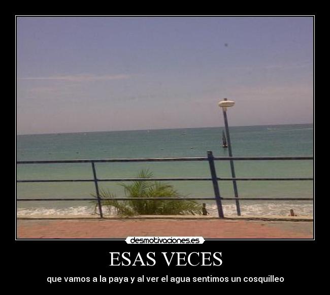 ESAS VECES - que vamos a la paya y al ver el agua sentimos un cosquilleo