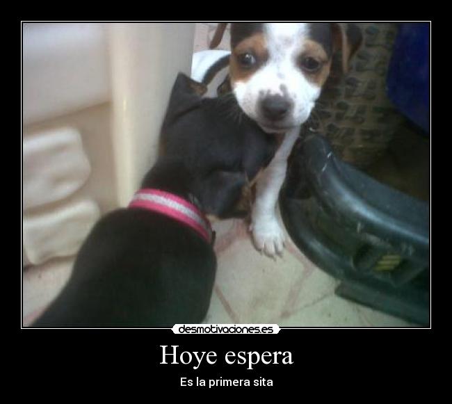 Hoye espera -