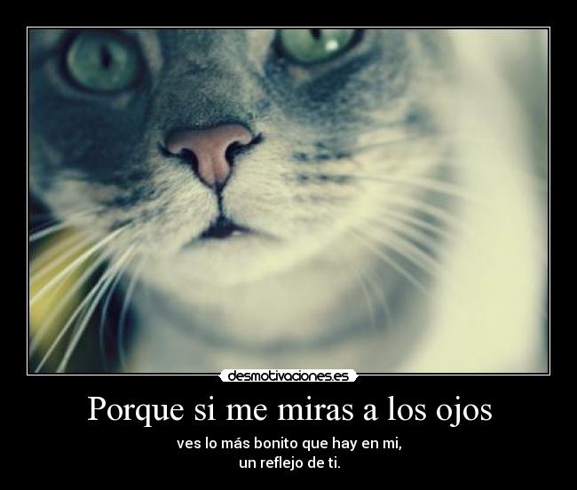 carteles esa persona especial desmotivaciones