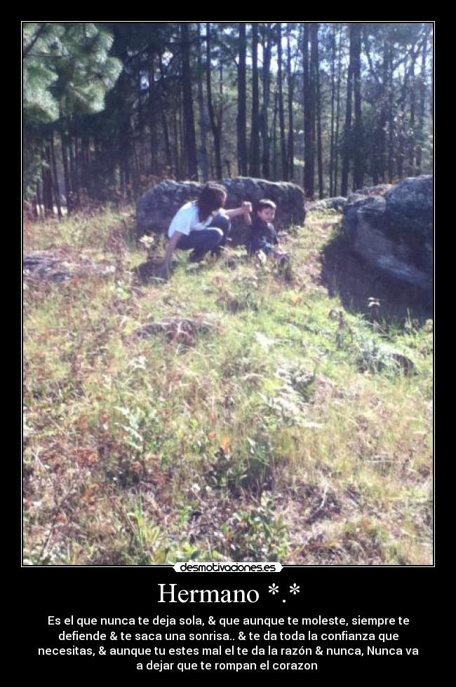 carteles aww desmotivaciones