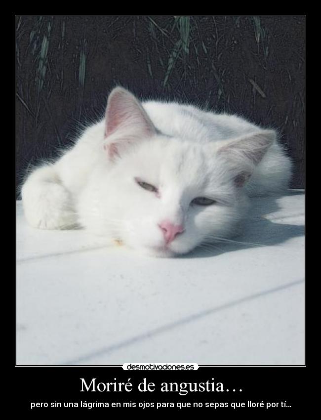 Moriré de angustia… -