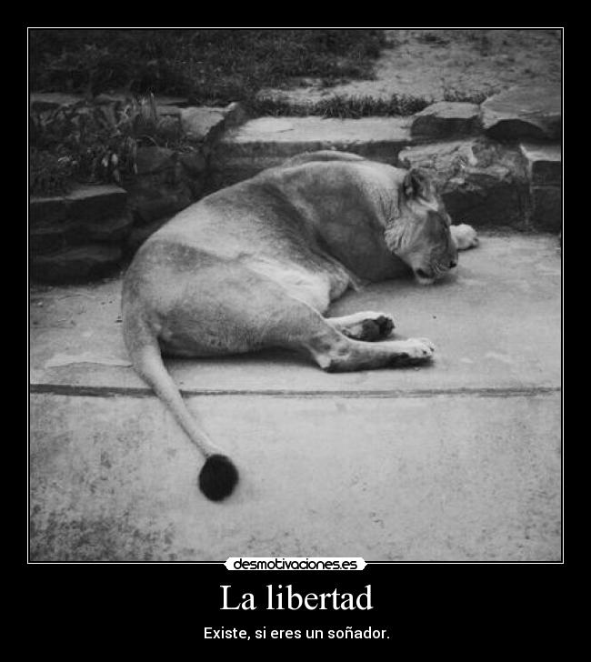 La libertad -