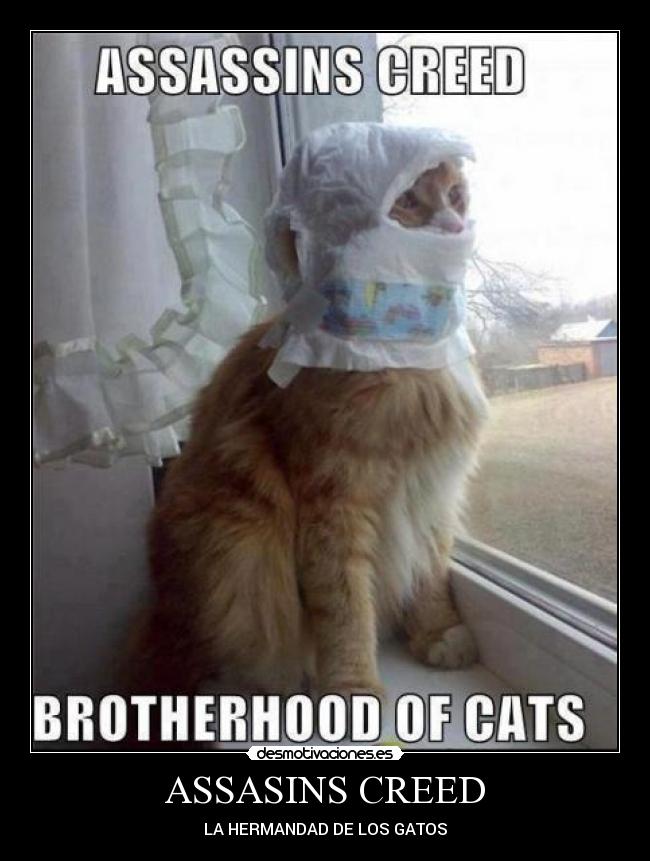 ASSASINS CREED - LA HERMANDAD DE LOS GATOS