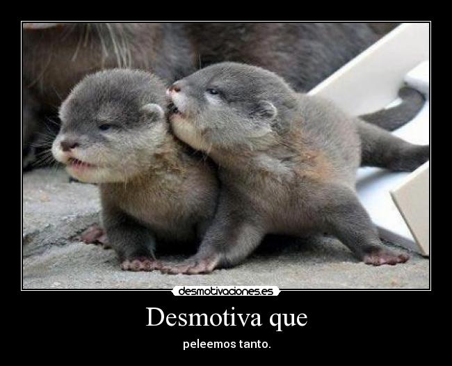 carteles perdoname desmotivaciones